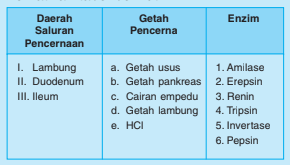 Perhatikan Tabel Berikut. Pasangan Yang Tepat Untu...