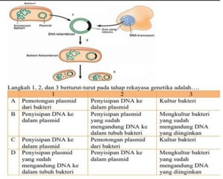 Pernyataan Yang Benar Adalah.......