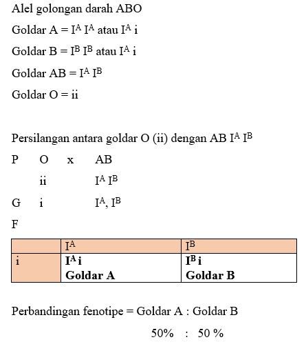 Seorang Laki-laki Bergolongan Darah O Menikah Deng...