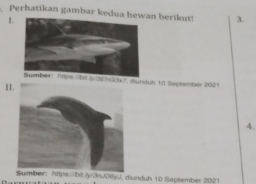 Perhatikan Gambar Kedua Hewan Berikut! Pernyataan ...