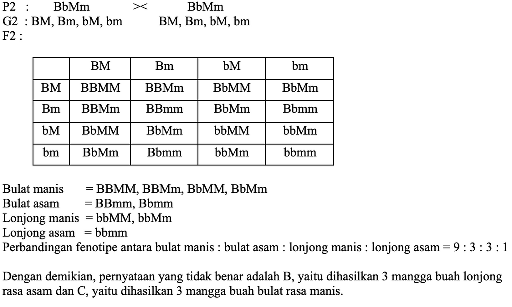 Persilangan Antara Mangga Buah Bulat, Rasa Asam (B...