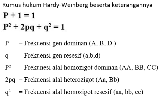 Apa Itu Hukum Hardy Weinberg
