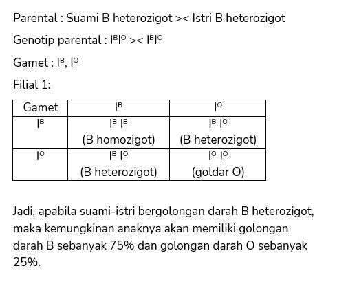 Apabila Suami Isyri Memiliki Golongan Darah B Hete...