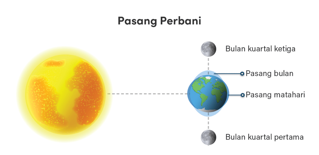 Pasang perbani ditunjukkan gambar nomor..... a. 3...