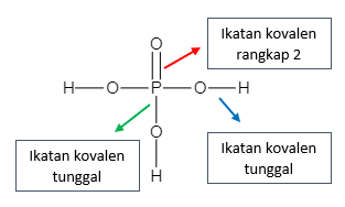 menetukan ikatan ikatan yg terjadi pada asam fosfa...