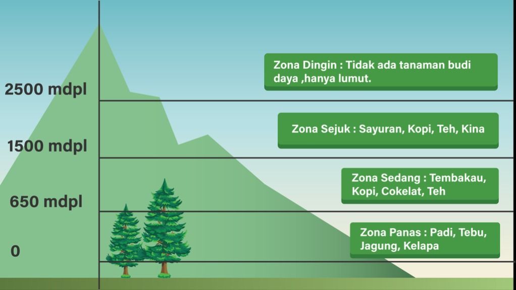 Junghuhn Mengklasifikasi Daerah Iklim Secara Verti...