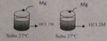 Perhatikan Gambar Reaksi 2 Gram Logam Magnesium De...