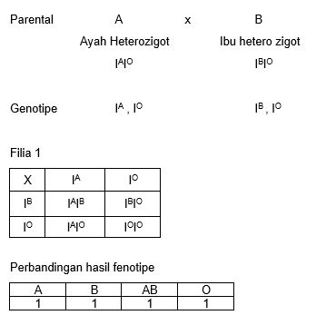 Bila Seandainya Terdapat Penyakit Baru Yang Dituru...