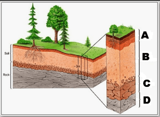 Lapisan Tanah Yang Paling Banyak Mengandung Bahan