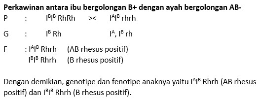 Ibu bergolongan B rhesus positif mempunyai suami b...