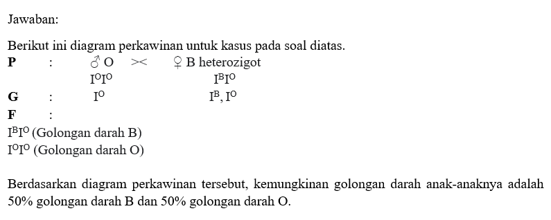 Seorang Laki-laki Bergolongan Darah O Menikah Deng...