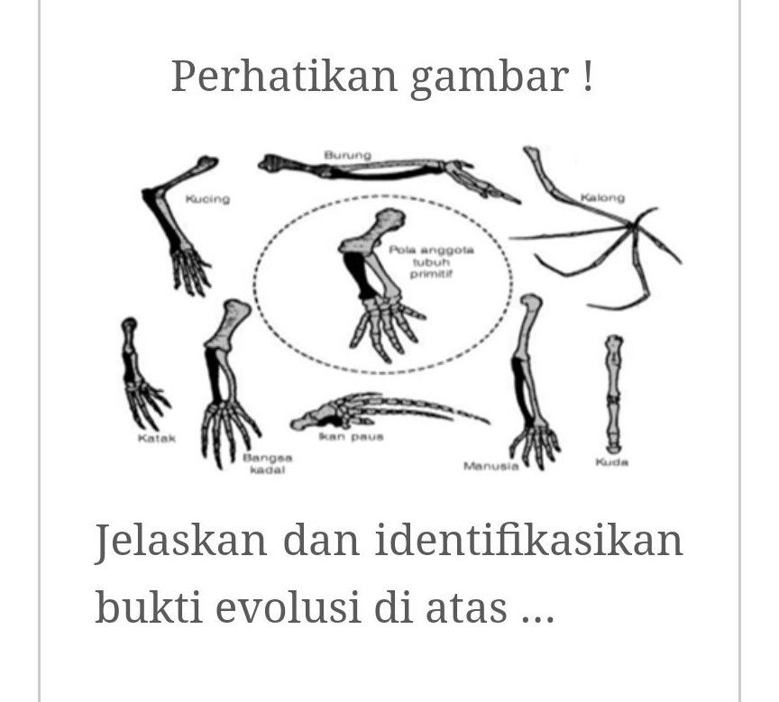 Perhatikan Gambar ! Jelaskan Dan Identifikasikan B...