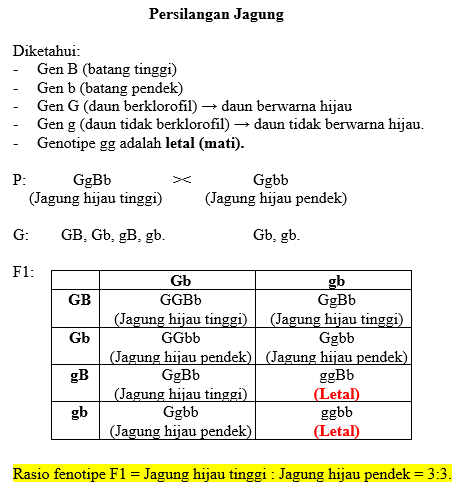 Pada Tanaman Jagung, Diketahui Gen G (daun Berklor...