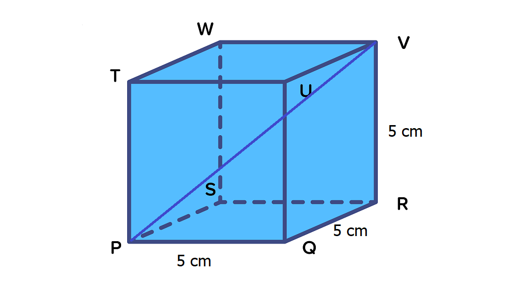 Gambarlah Kubus Dengan Ukuran 5 Cm(PQRS.TUVW). Hit...