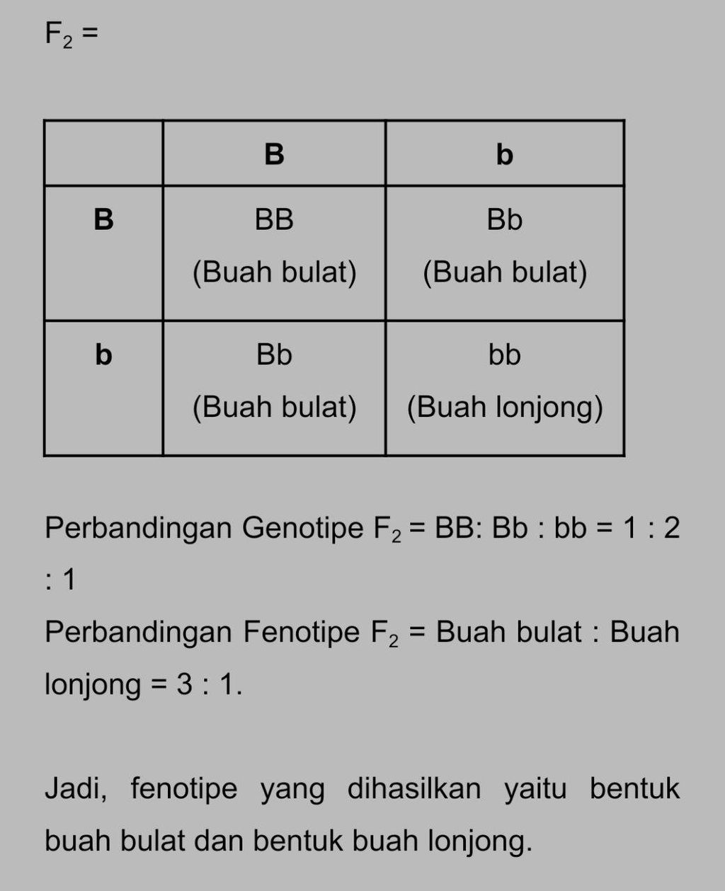 Buah 1 Memiliki Genotipe BB Dengan Bentuk Buah Bul...