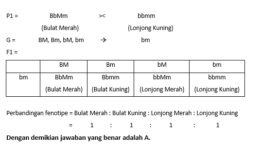 Pada Tanaman Rambutan, Buah Bulat (B) Dominan Terh...