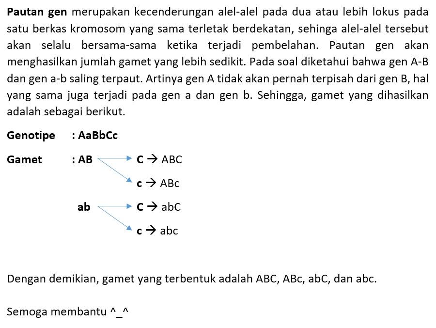 Suatu Individu Bergenotipe AaBbCc. Jika Dalam Meio...