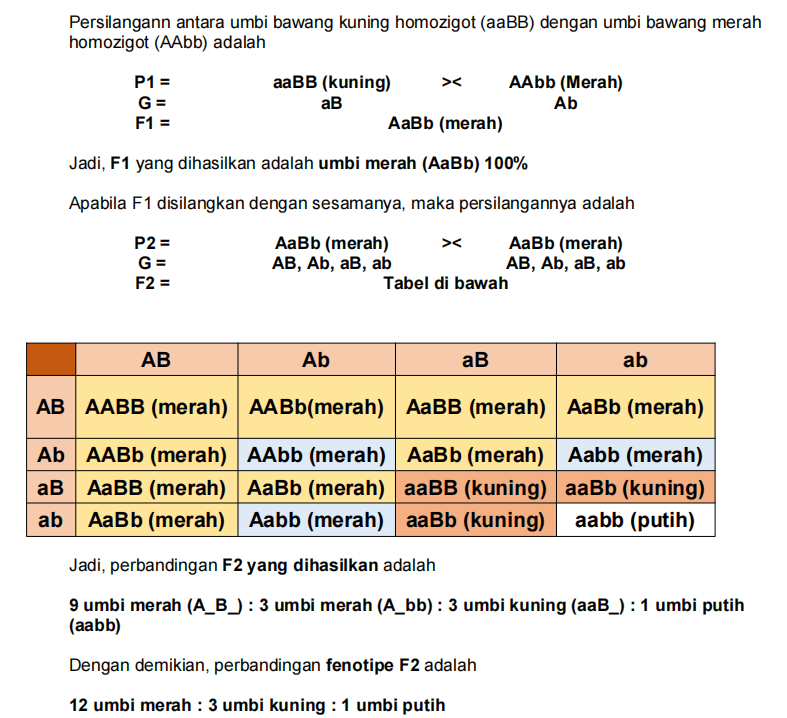 Diketahui A Untuk Gen Umbi Merah Pada Bawang, B Un...