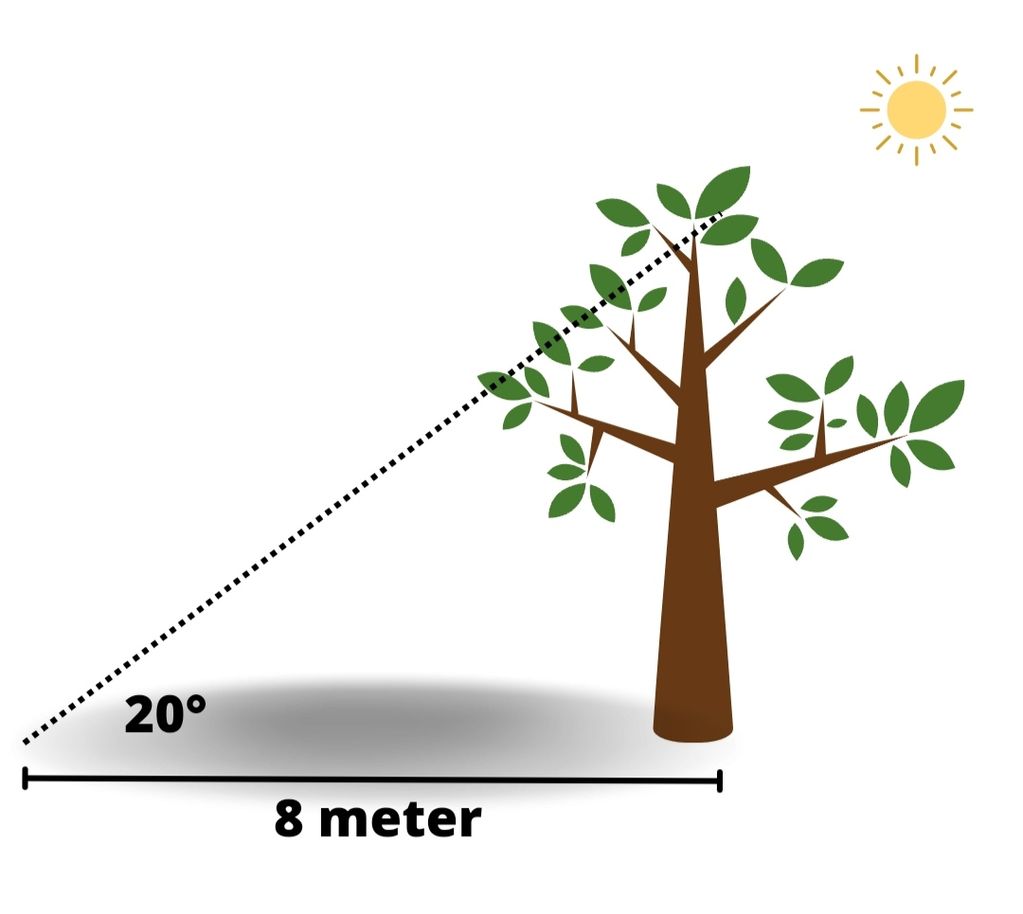 Panjang Bayangan Sebuah Pohon Adalah 8 Meter, Jika...