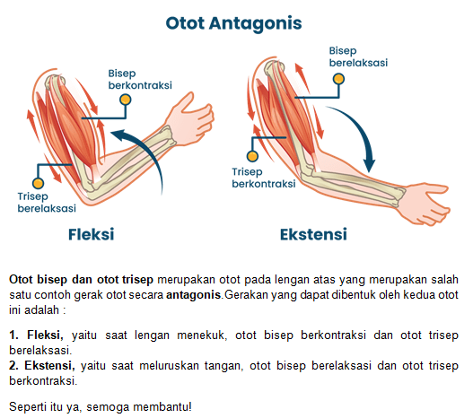 Gambar Berikut Menunjukkan Seseorang Yang Sedang M...