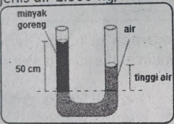 Sebuah Pipa U Berisi Air Dan Minyak Goreng Seperti...