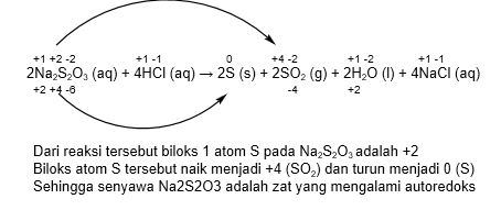 Akrobatlar va gimnastikachilar bilan jinsiy aloqa