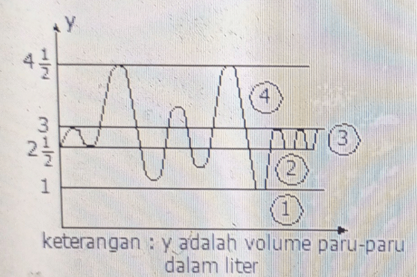 Perhatikan Gambar Berikut Kapasitas Vital Paru P 4655