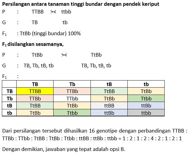 Untuk Soal Nomor 18 Dan 19 Bacalah Wacana Berikut:...