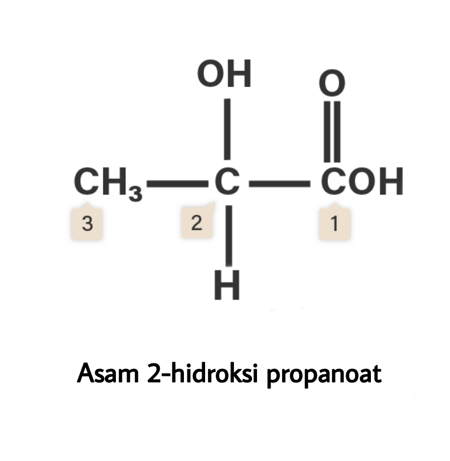 Rumus Struktur Yang Tepat Dari Asam Laktat (asam-...