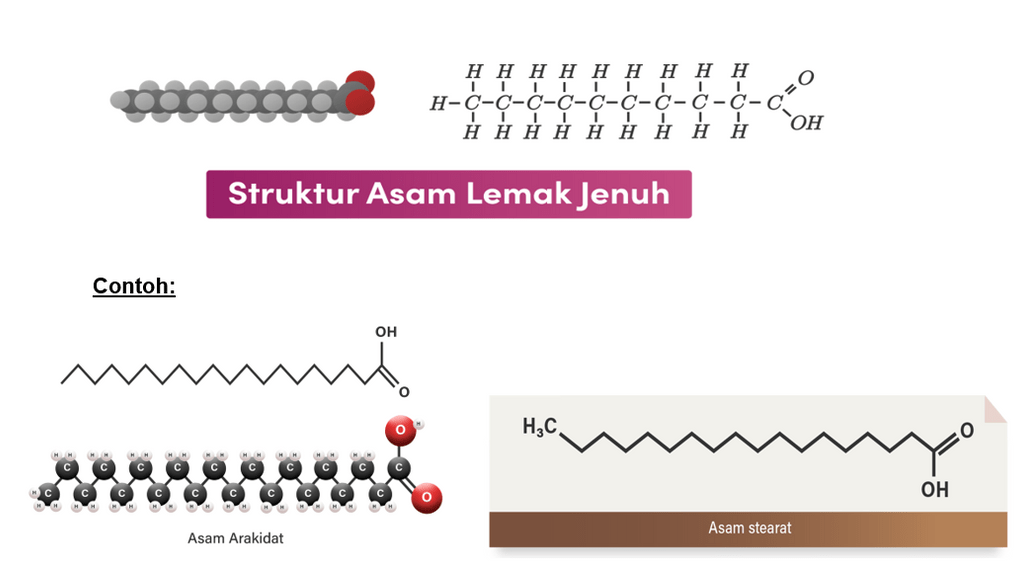 Contoh Lemak Jenuh Dan Rumus Unsurnya 8542