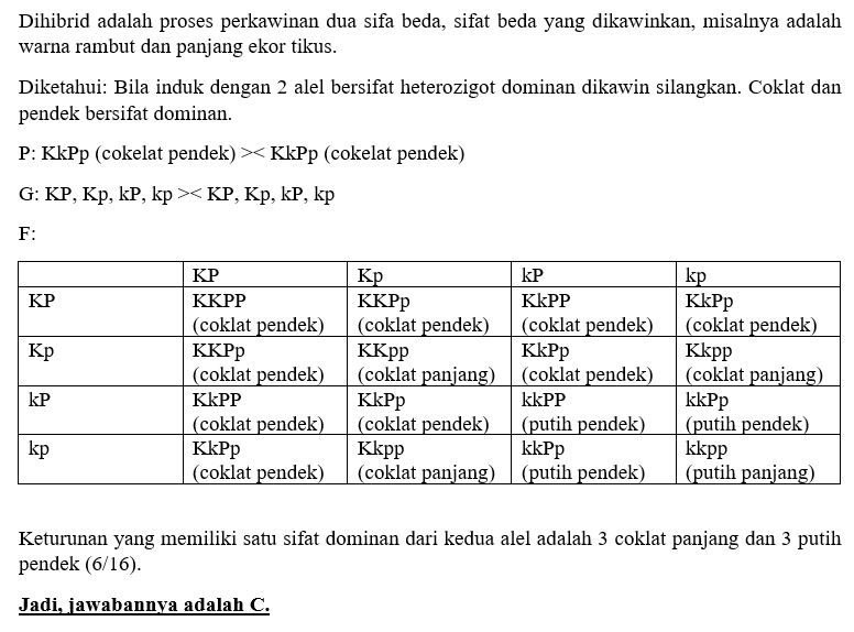 Bila Induk Dengan 2 Alel Bersifat Heterozigot Domi...