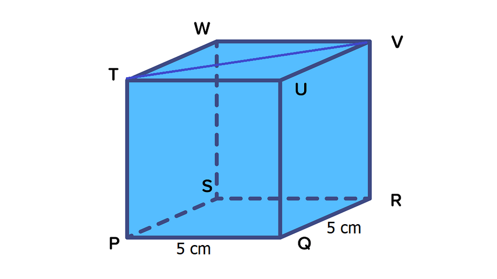 Gambarlah Kubus Dengan Ukuran 5 Cm(PQRS.TUVW). Hit...