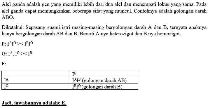 Sepasang Suami Istri Masing-masing Bergolongan Da...