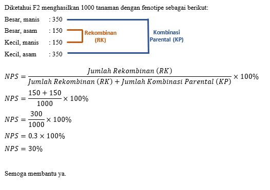 Tanaman berbuah besar rasa manis (BBMM) dengan tan...