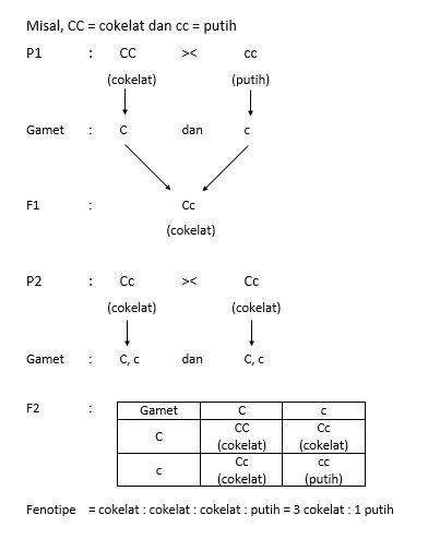 Perhatikan Diagram Persilangan Berikut. Apabila F1...