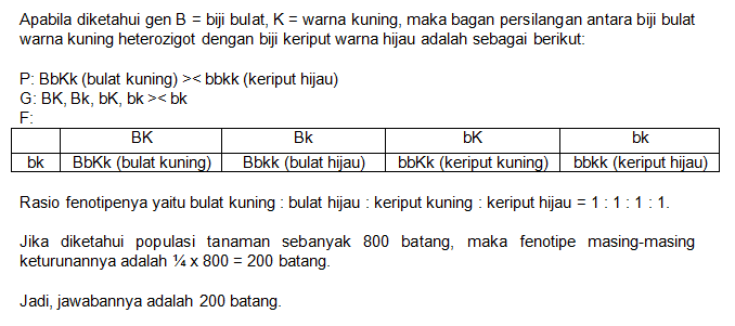 Apabila Diketahui Gen B = B I J I Bulat, K = Warn...