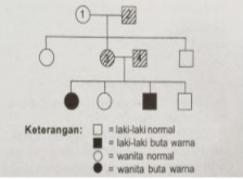 Perhatikan Peta Silsilah Keluarga Berikut Berdasa...