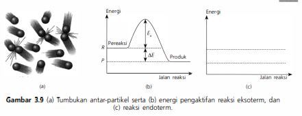 Cermati Gambar 3.9 (a) Dan (b). Reaksi Eksoterm Ak...