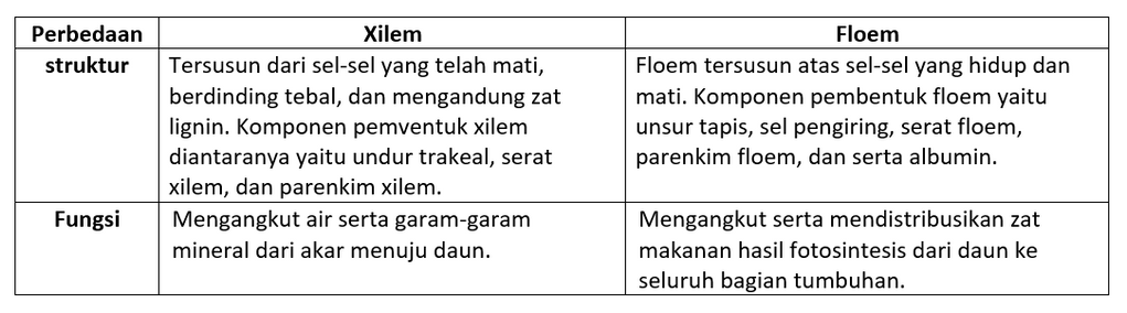 Fungsi Enzim Xylem Fungsi Enzim Xylem