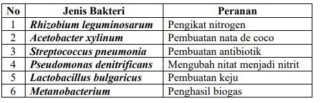 Perhatikan Tabel Bakteri Dan Peranannya Berikut In...