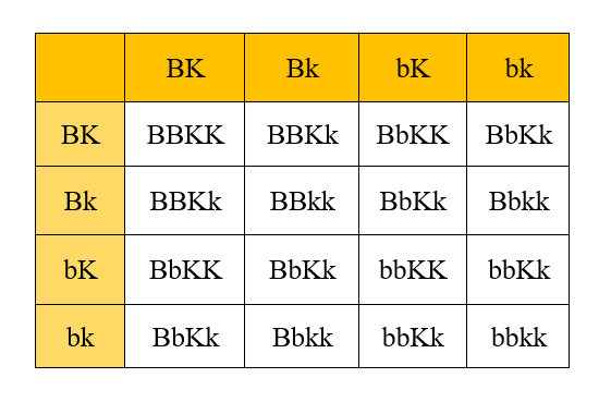 Coba Anda Silangkan Tanaman Biiji Bulat (B) Berwar...