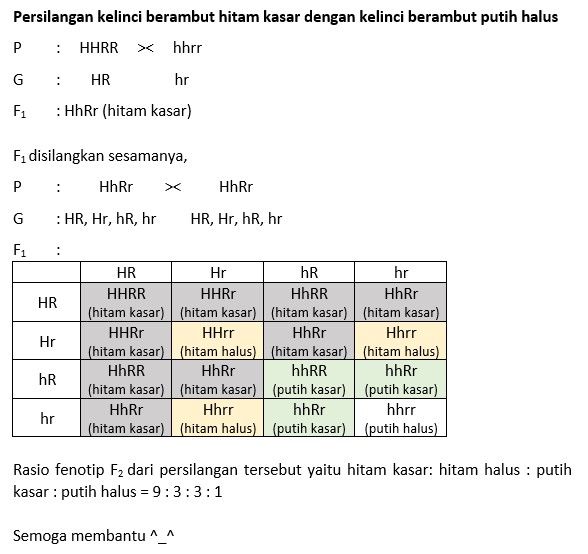 Pada Kelinci,rambut Hitam (HH) Dominan Terhadap Ra...