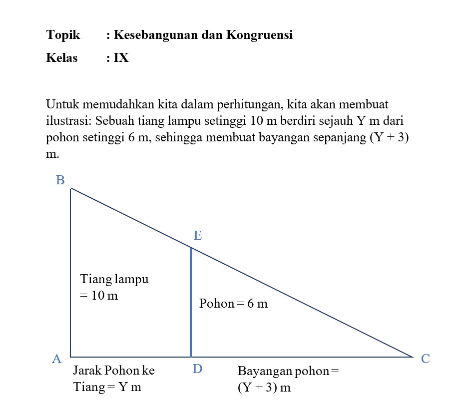 Sebuah Pohon Yang Tingginya 6m Berdiri Tegak Pada ...