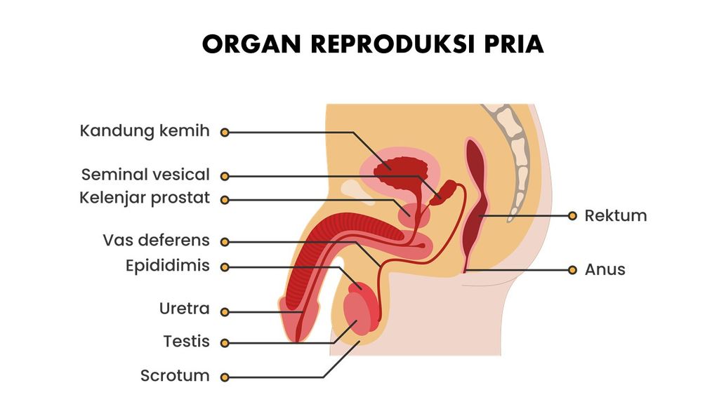 Kibovskiy guruh jinsiy aloqa