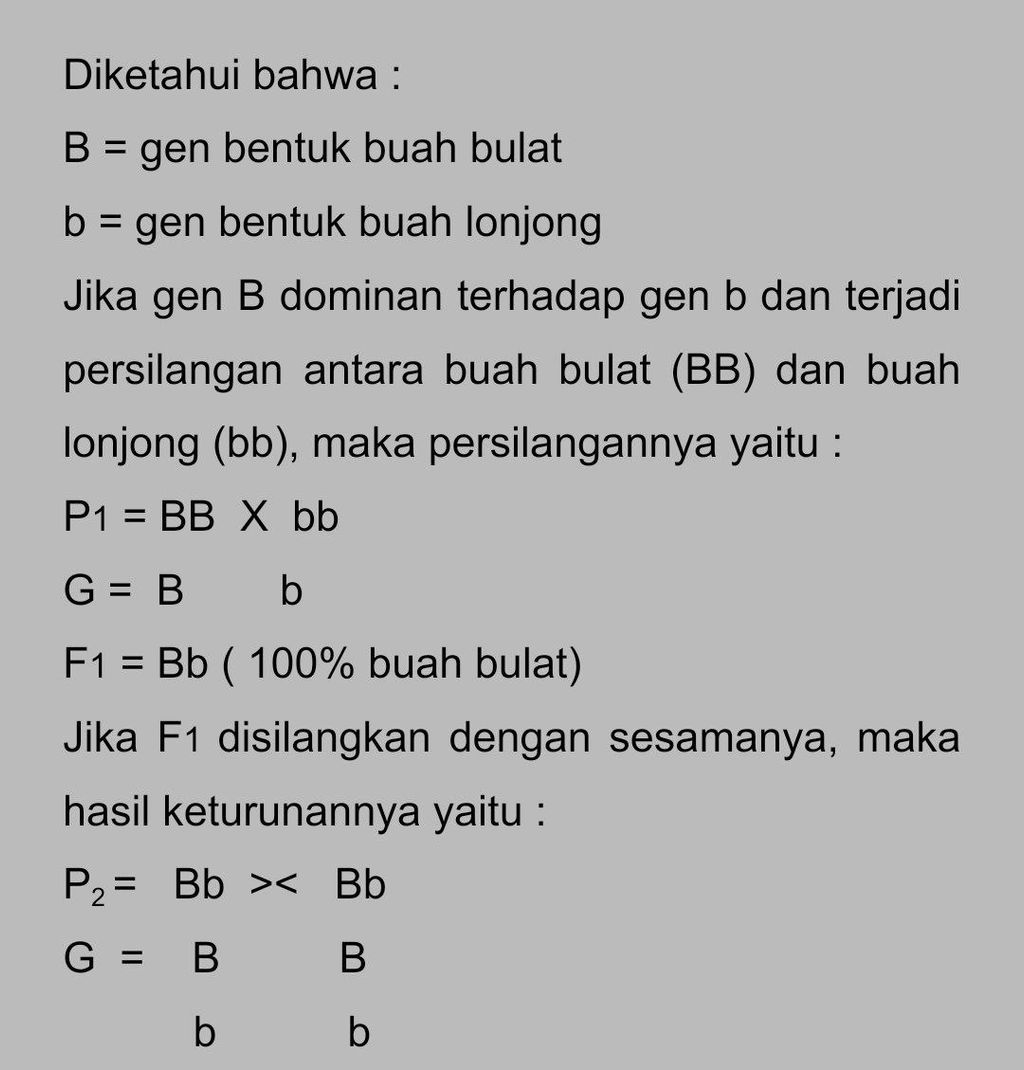 Buah 1 Memiliki Genotipe BB Dengan Bentuk Buah Bul...