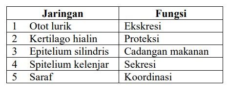 Hubungan Yang Benar Antara Jaringan Dengan Fungsin...