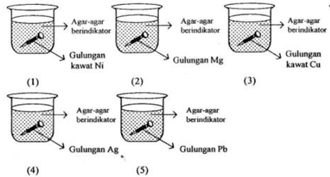 Berikut Adalah Eksperimen Korosi Besi (paku) Yang ...