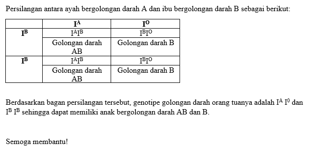 Sepasang Suami Istri Masing-masing Bergolongan Dar...