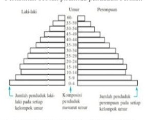 Perhatikan Bentuk Piramida Penduduk Berikut! Langk...