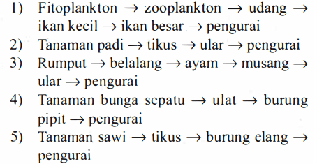 Perhatikan Beberapa Rantai Makanan Berikut! Ranta...